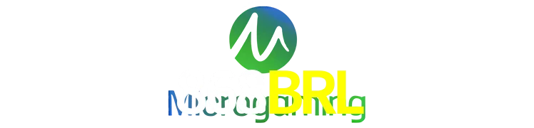 Provedores-Microgaming